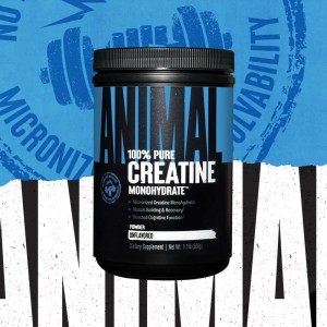 Universal Nutrition - Animal Creatine Powder, 500 грам