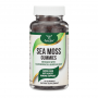 Double Wood - Irish Sea Moss Gummies with Burdock and Bladderwrack, 60 желейних цукерок