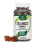 Double Wood - Irish Sea Moss Gummies with Burdock and Bladderwrack, 60 желейних цукерок